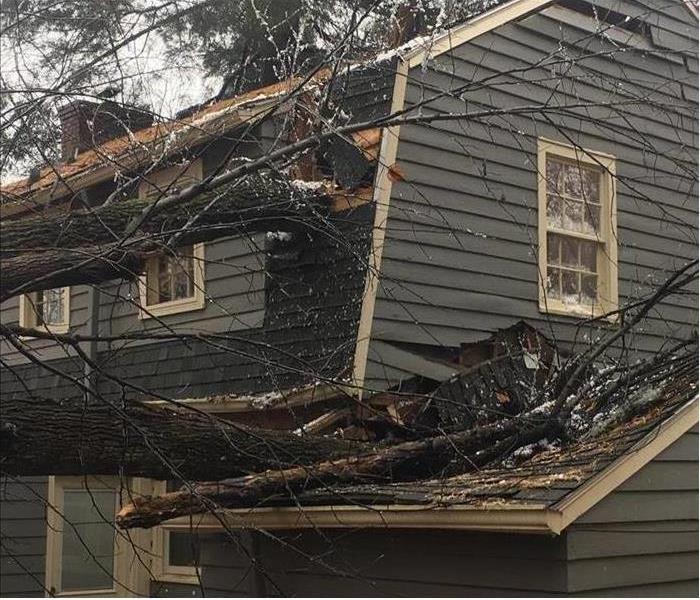 A big tree branch fell on a house causing the roof to collapse